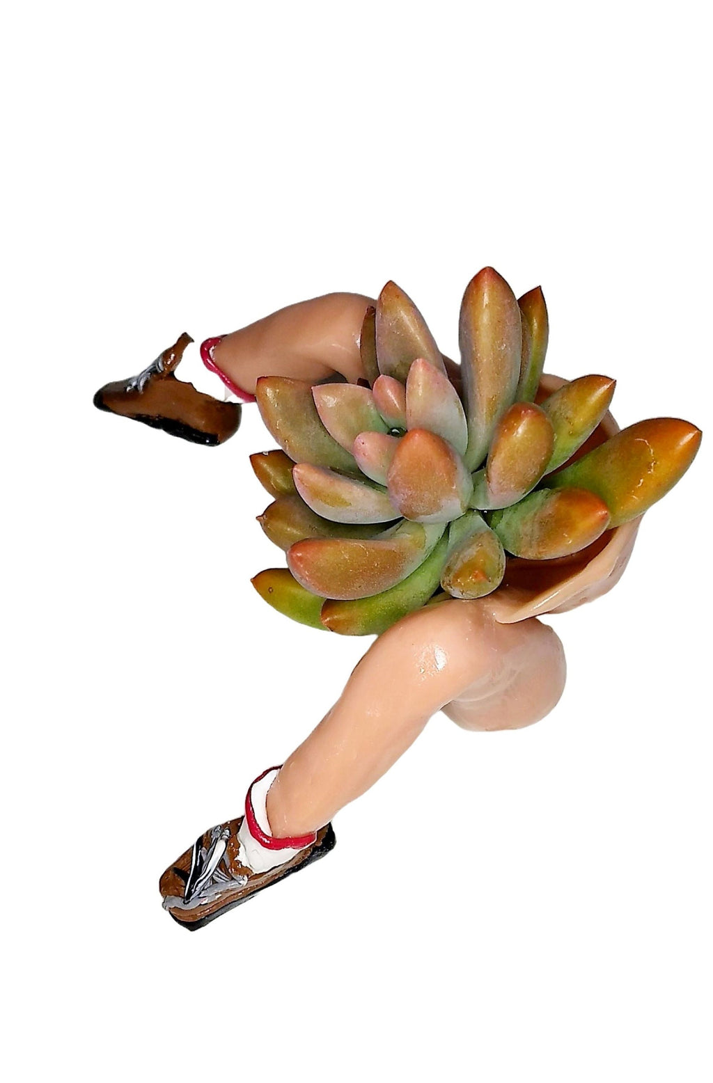 Mini Hiking Desk Planter with Live Plant Ceramic Hiker Figurine Gift Box Included