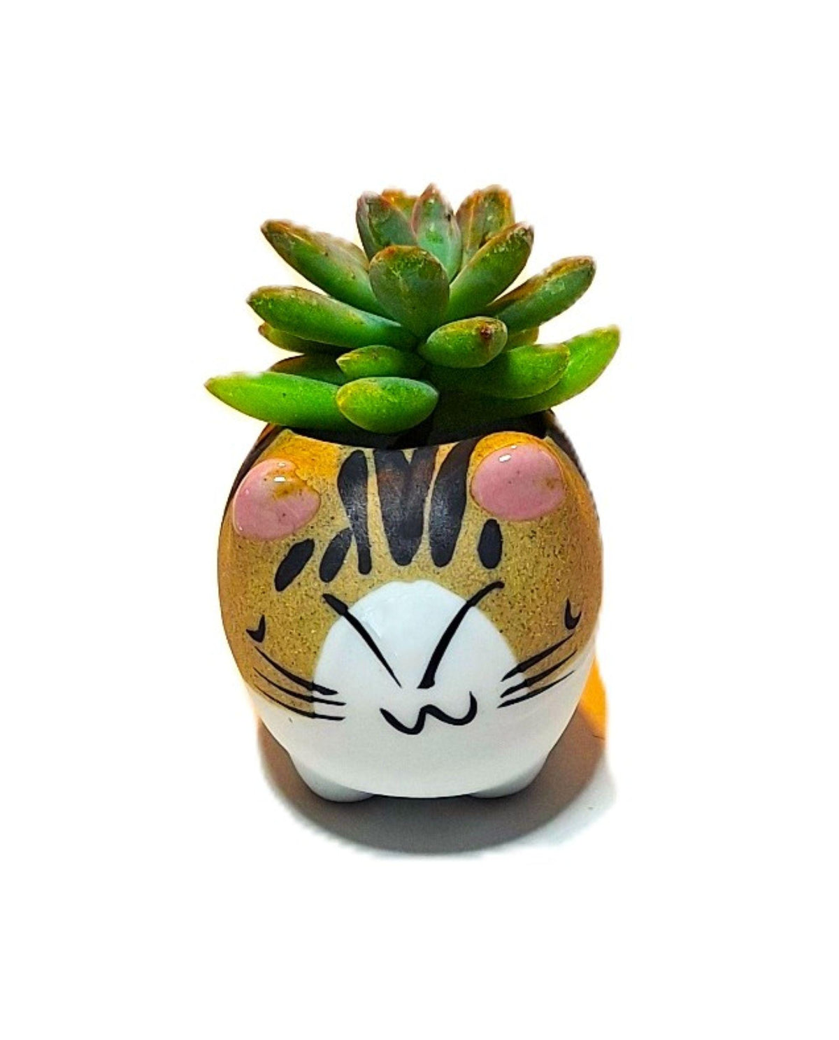 Tiger Kitty Mini Ceramic Cat Pot – Choose Your Kitty Character
