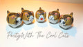 Tiger Kitties 5 Piece Set Collection of Succulent Planters Gift Boxed