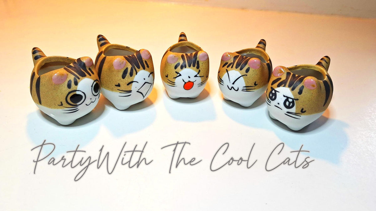 Tiger Kitties 5 Piece Set Collection of Succulent Planters Gift Boxed