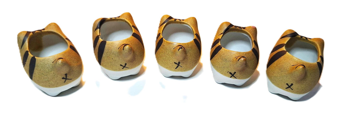 Tiger Kitties 5 Piece Set Collection of Succulent Planters Gift Boxed