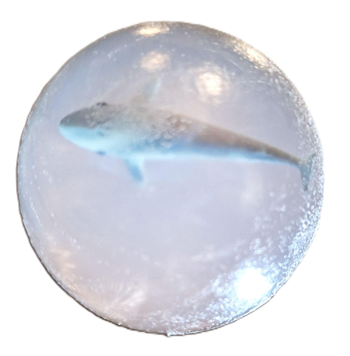Tropical Ocean Beach Theme Unscented, Clear Glycerin Decorative Soaps Vegan Gluten Free Variety pack set A