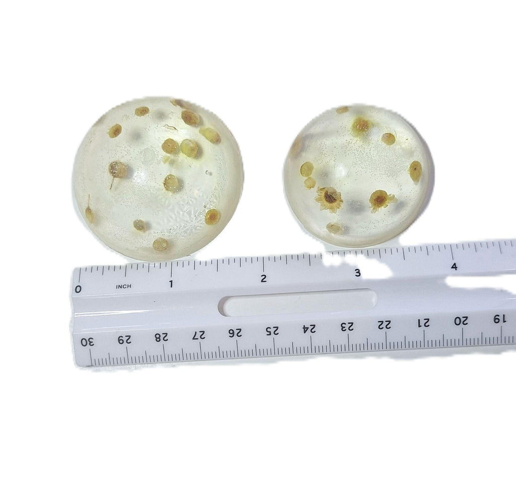 Vegan Chamomile Soap Set Clear Gluten-Free, Unscented 6 Rounds 1 Pound.