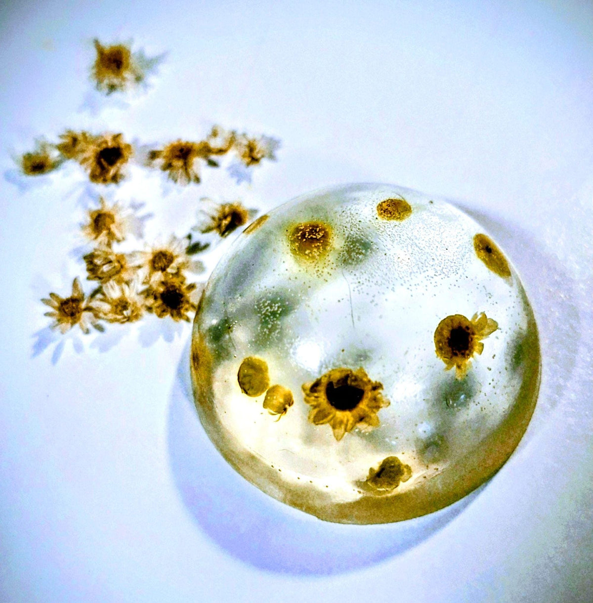Vegan Chamomile Soap Set Clear Gluten-Free, Unscented 6 Rounds 1 Pound.
