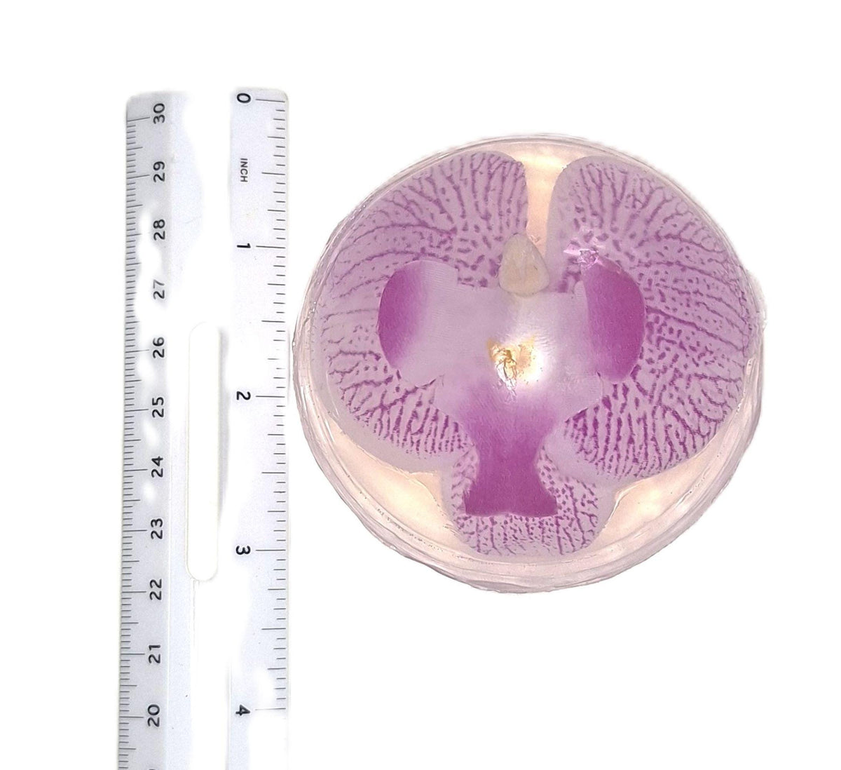 Handmade Orchid Soaps, Clear Vegan Glycerin, Unscented Hypoallergenic, Purple or Yellow, 8 oz Rounds, 2 Pack