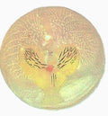 Handmade Artisan Orchid Soaps, Clear Vegan Glycerin, Unscented Hypoallergenic, Purple or Yellow, 8oz Rounds, 2 Pack