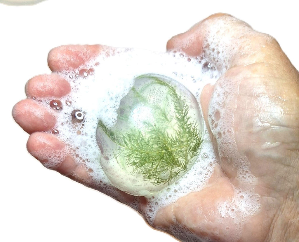 Forest Fern Botanical Soap Set 1 Pound Clear Vegan Glycerin Rounds Unscented, Gluten-Free Hypoallergenic