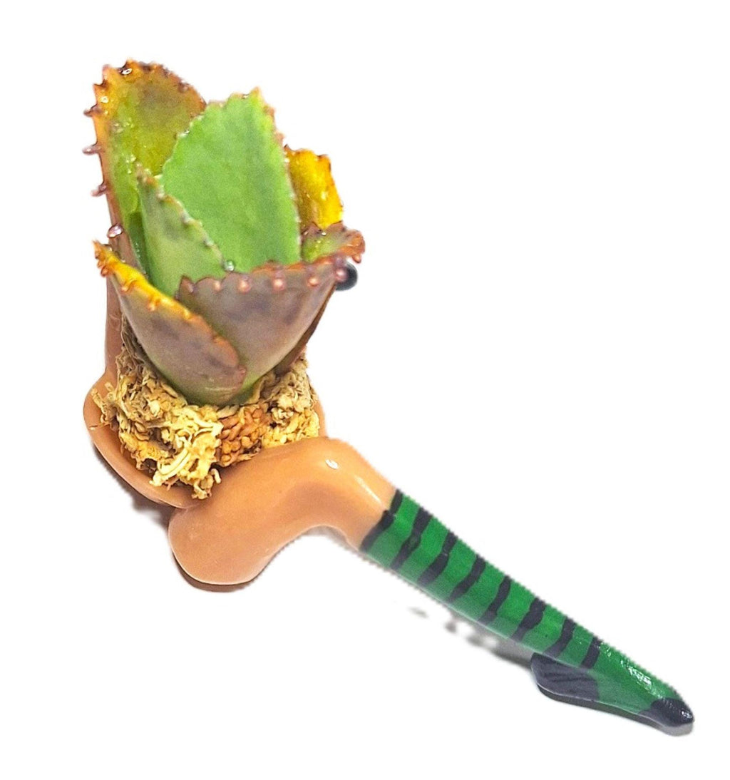 Whimsical Witch Legs Planter • Enchanted Halloween Table Décor • Magical Fall Home Accent