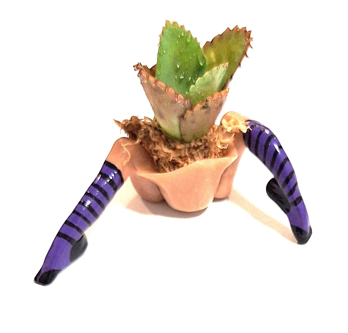 Whimsical Witch Legs Planter • Enchanted Halloween Table Décor • Magical Fall Home Accent