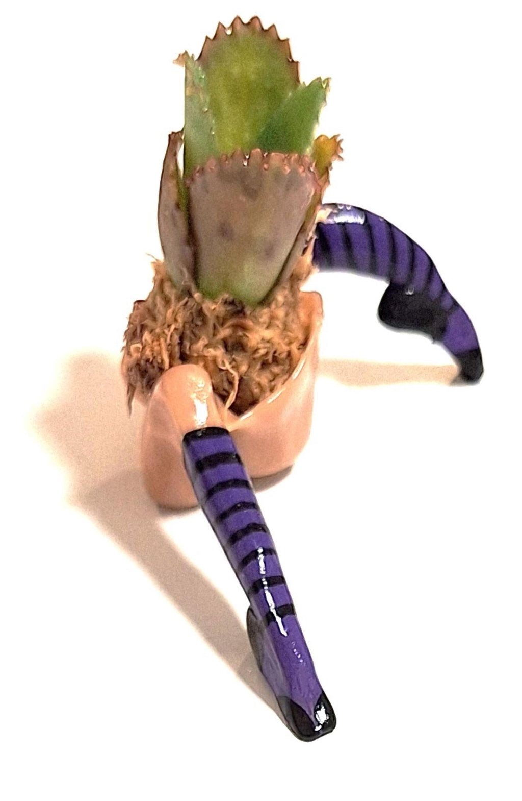 Whimsical Witch Legs Planter • Enchanted Halloween Table Décor • Magical Fall Home Accent