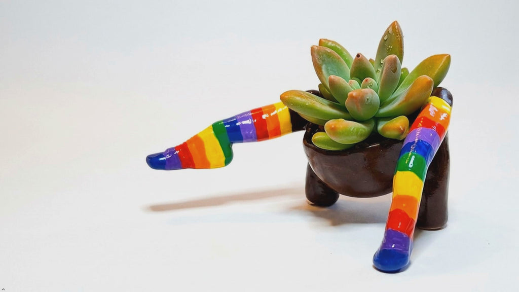 Rainbow Flowerpot with Legs Includes Plant Made in USA